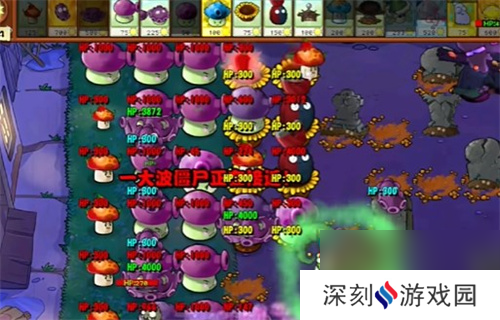 PVZ杂交版益智模式忧郁咖啡豆3通关详解