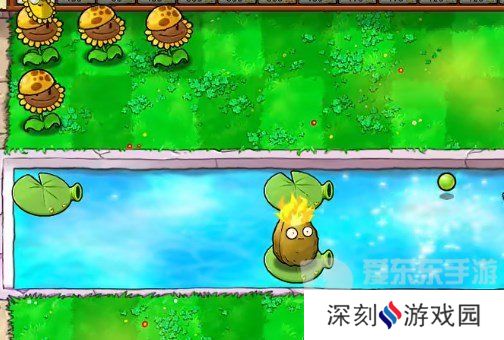 植物大战僵尸杂交版挑战模式第19关怎么过 第19关完美布局攻略