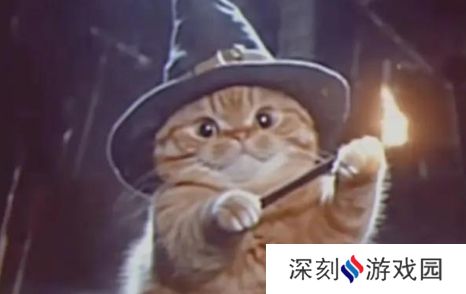 魔法猫猫是什么梗网络用语-魔法猫猫梗意思及出处分享